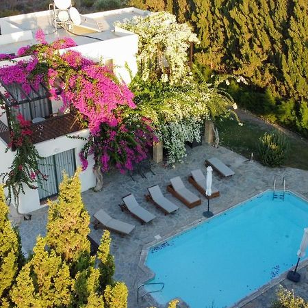 Banana Sunset Villas Paphos Eksteriør bilde