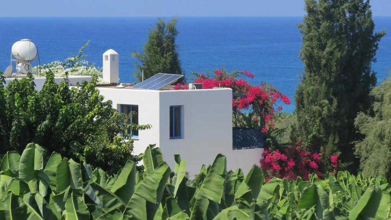 Banana Sunset Villas Paphos Eksteriør bilde