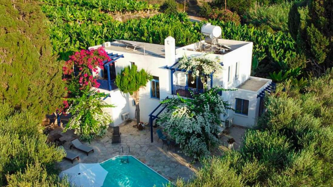 Banana Sunset Villas Paphos Eksteriør bilde