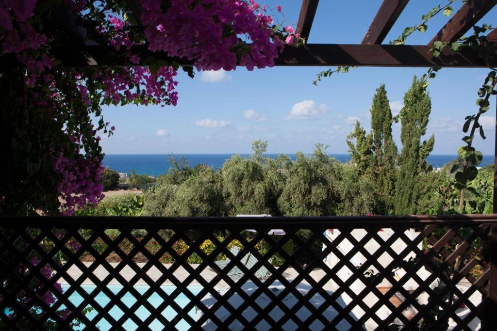 Banana Sunset Villas Paphos Eksteriør bilde